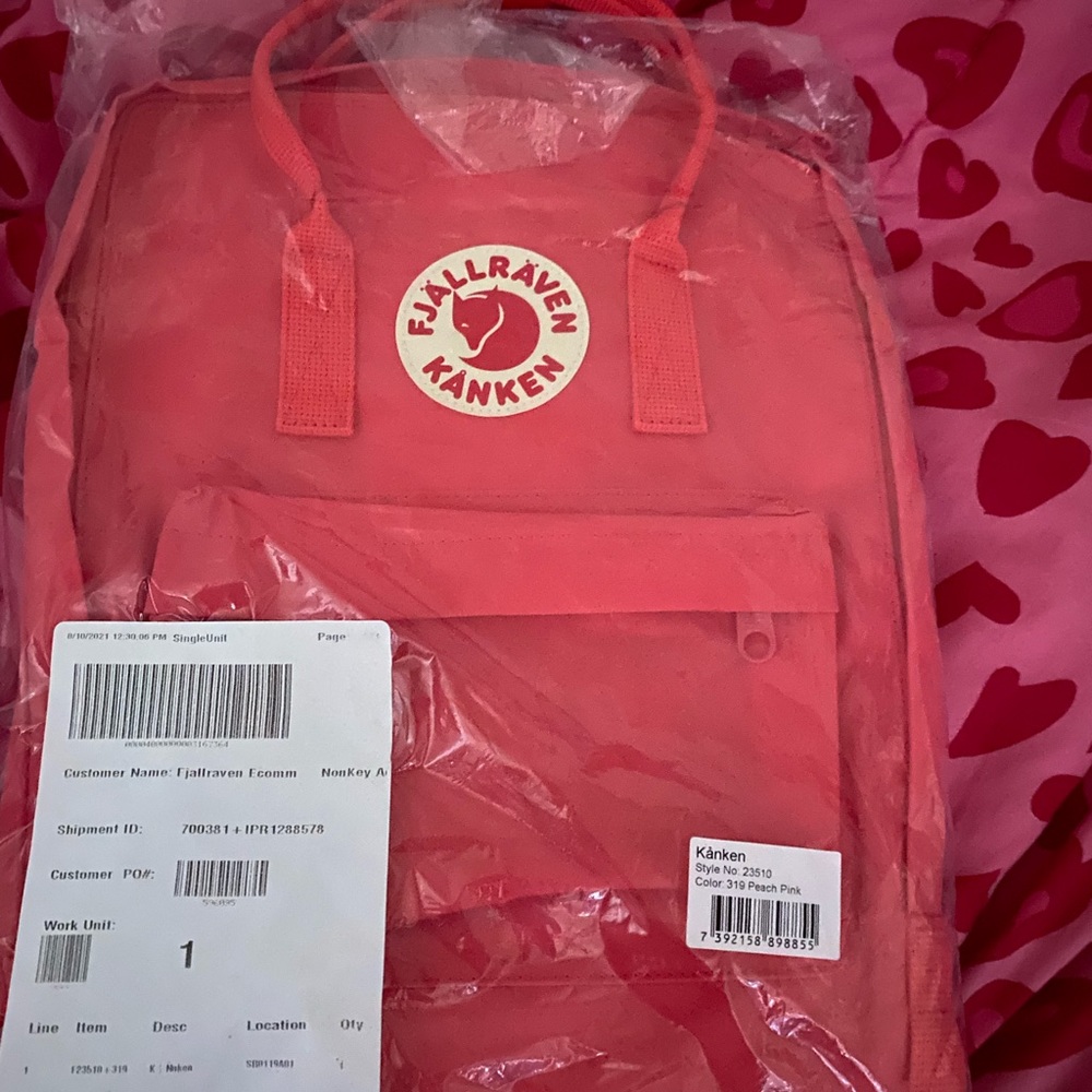 Classic fjallraven kanken